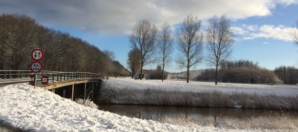 Robbenoordbos in de winter